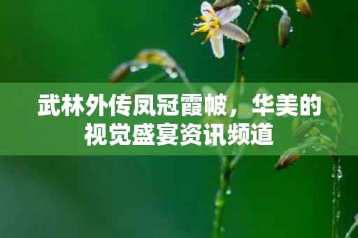 华美的视觉盛宴资讯频道图片