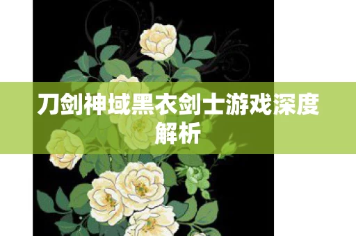 刀剑神域黑衣剑士游戏深度解析图片
