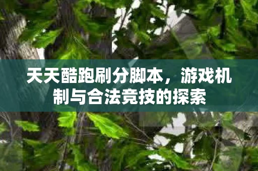 游戏机制与合法竞技的探索图片