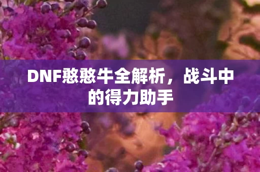 DNF憨憨牛全解析图片