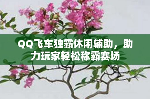 QQ飞车独霸休闲辅助图片