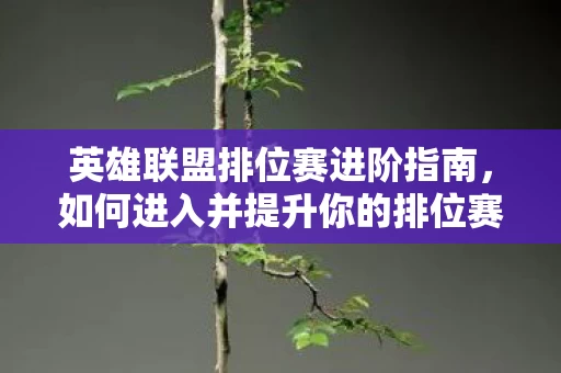 如何进入并提升你的排位赛层次图片
