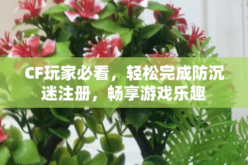 轻松完成防沉迷注册图片