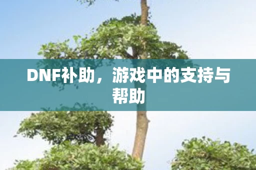 游戏中的支持与帮助图片