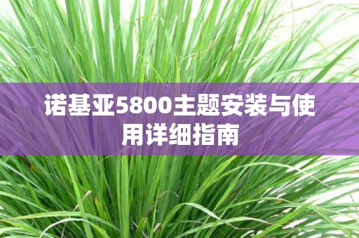 诺基亚5800主题安装与使用详细指南图片