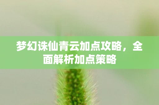 梦幻诛仙青云加点攻略图片