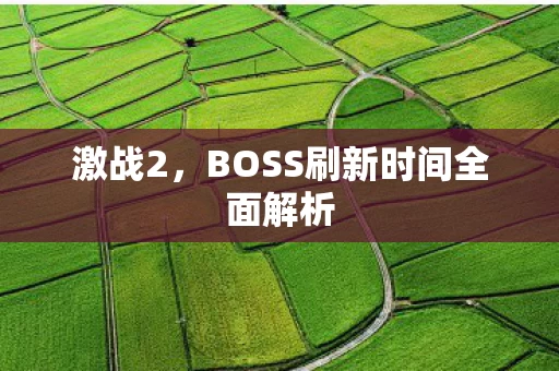 BOSS刷新时间全面解析图片