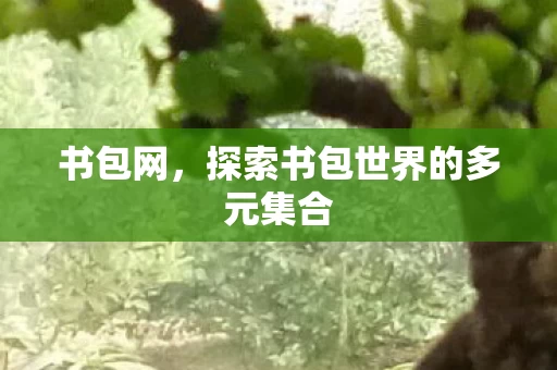 探索书包世界的多元集合图片