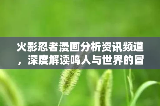 深度解读鸣人与世界的冒险之旅图片