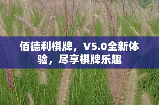 尽享棋牌乐趣图片
