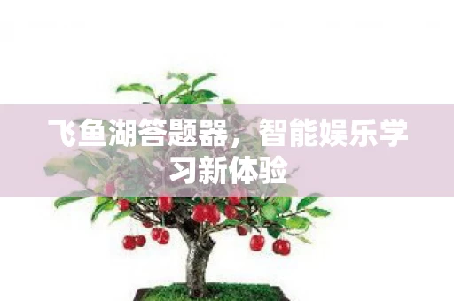 智能娱乐学习新体验图片