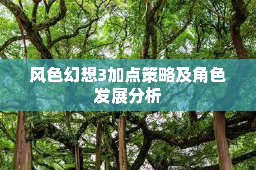 风色幻想3加点策略及角色发展分析图片