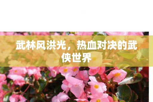 热血对决的武侠世界图片