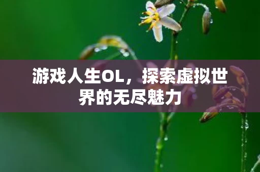 探索虚拟世界的无尽魅力图片