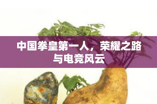 荣耀之路与电竞风云图片