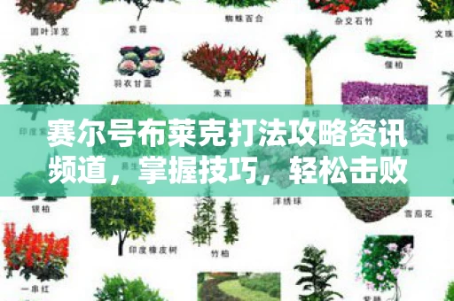 赛尔号布莱克打法攻略资讯频道图片