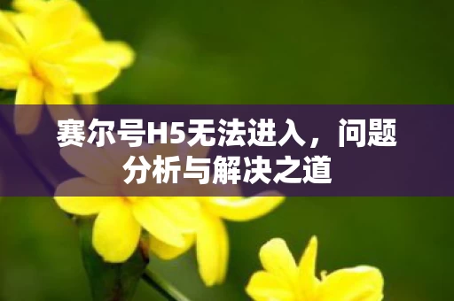 赛尔号H5无法进入图片