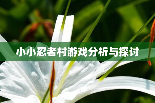 小小忍者村游戏分析与探讨图片