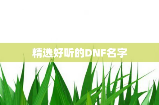 精选好听的DNF名字图片