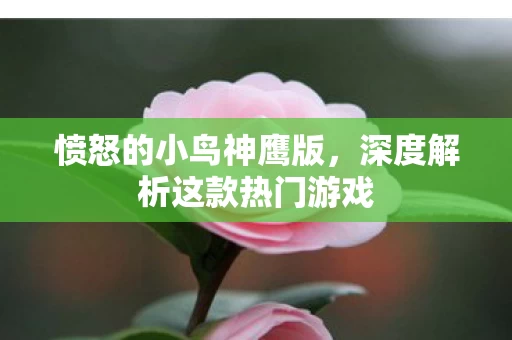 深度解析这款热门游戏图片