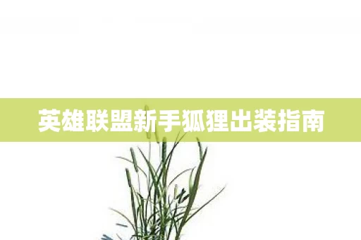 英雄联盟新手狐狸出装指南图片