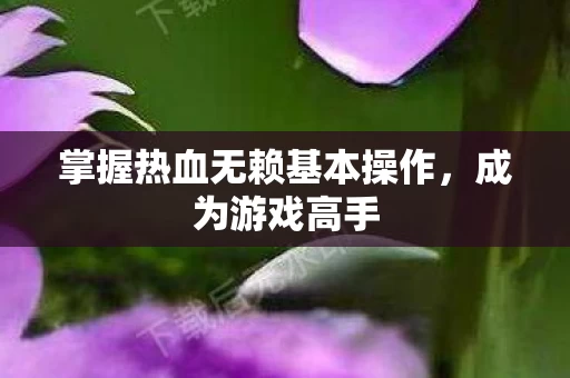掌握热血无赖基本操作图片