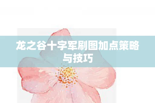 龙之谷十字军刷图加点策略与技巧图片