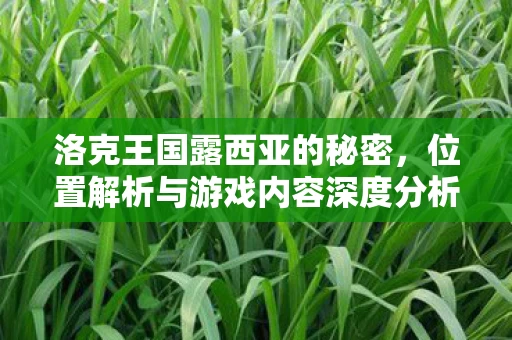 位置解析与游戏内容深度分析图片