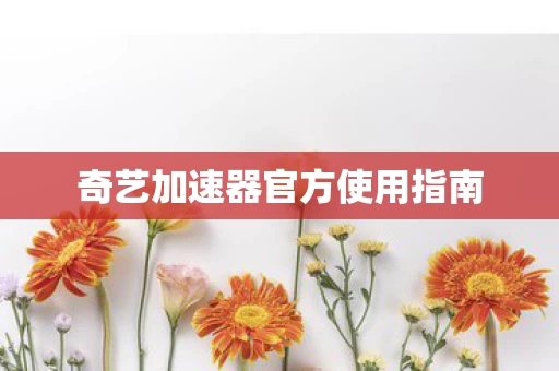 奇艺加速器官方使用指南图片