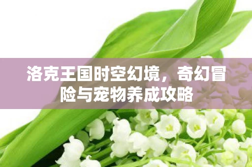 奇幻冒险与宠物养成攻略图片