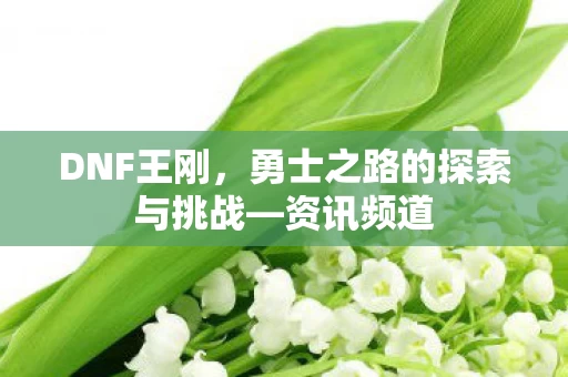 勇士之路的探索与挑战图片