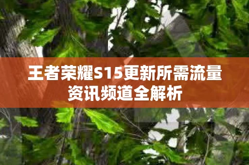 王者荣耀S15更新所需流量资讯频道全解析 王者荣耀S15更新所需流量资讯频道全解析