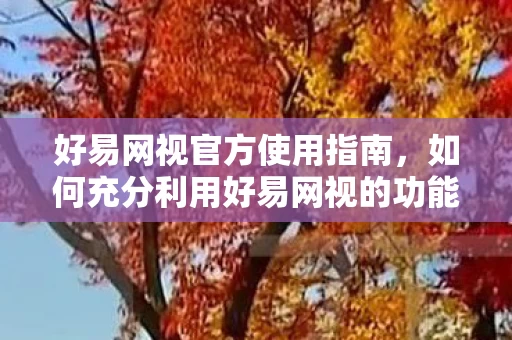如何充分利用好易网视的功能图片