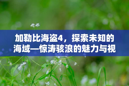 惊涛骇浪的魅力与视觉盛宴图片