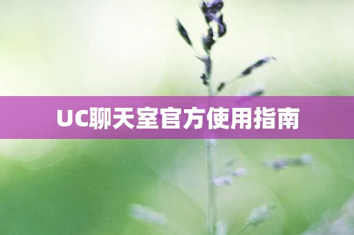 UC聊天室官方使用指南图片