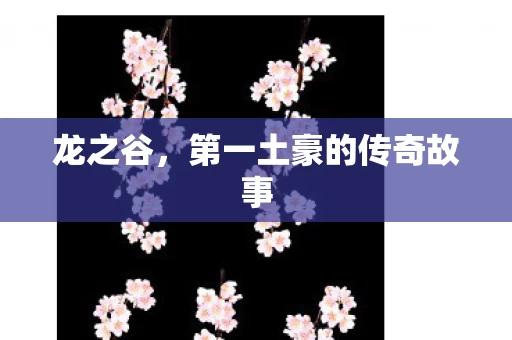 第一土豪的传奇故事图片