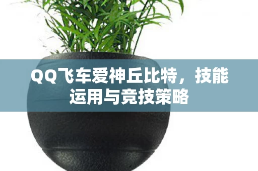 QQ飞车爱神丘比特图片