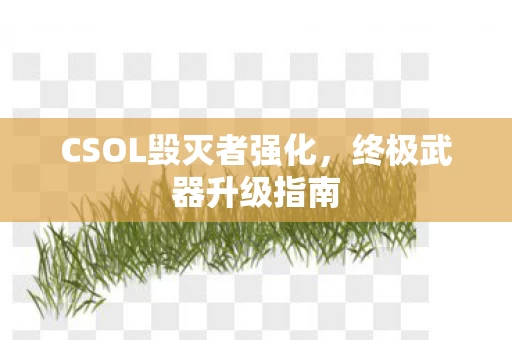 CSOL毁灭者强化图片