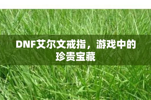 DNF艾尔文戒指图片