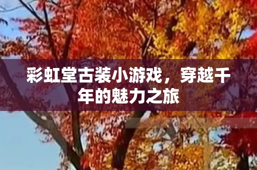 穿越千年的魅力之旅图片