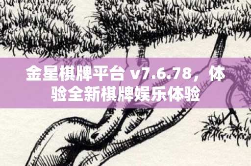 体验全新棋牌娱乐体验图片