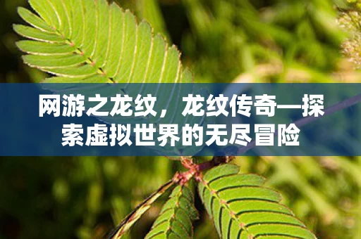 探索虚拟世界的无尽冒险图片