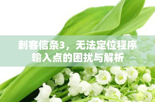 无法定位程序输入点的困扰与解析图片