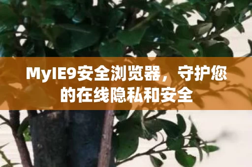 守护您的在线隐私和安全图片