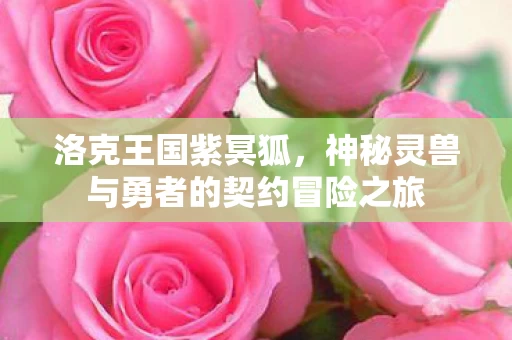 神秘灵兽与勇者的契约冒险之旅图片