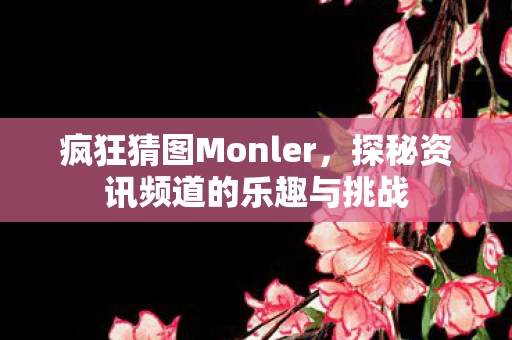 探秘资讯频道的乐趣与挑战图片