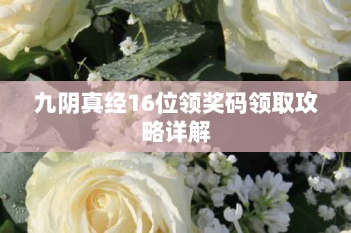 九阴真经16位领奖码领取攻略详解图片