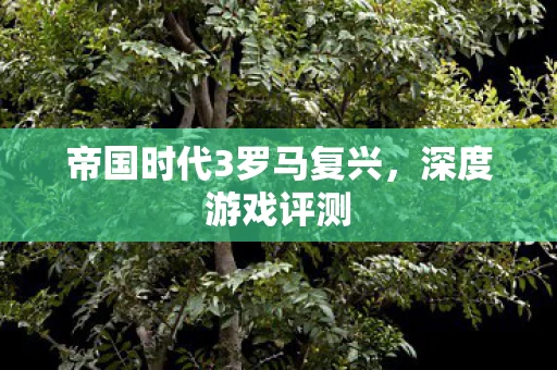 帝国时代3罗马复兴图片