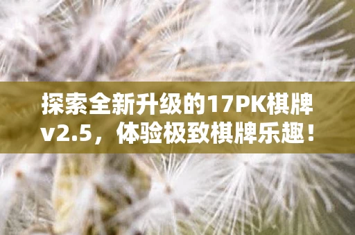 探索全新升级的17PK棋牌v2图片