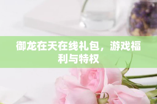 御龙在天在线礼包图片